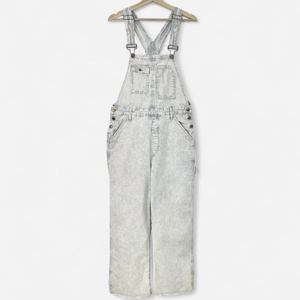 Anthropologie Pilcro Railroad The Wanderer Boho Workwear Denim Overalls 31